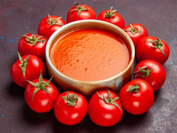 Tomato Puree in Delhi 